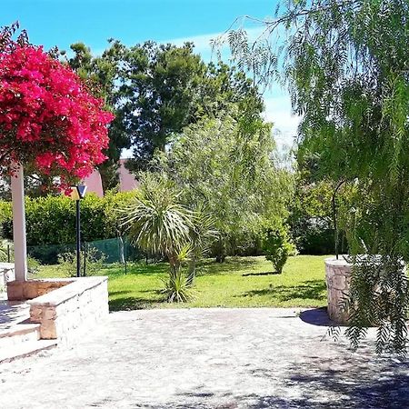 Bouganvilla بولينيانو آ ماري المظهر الخارجي الصورة