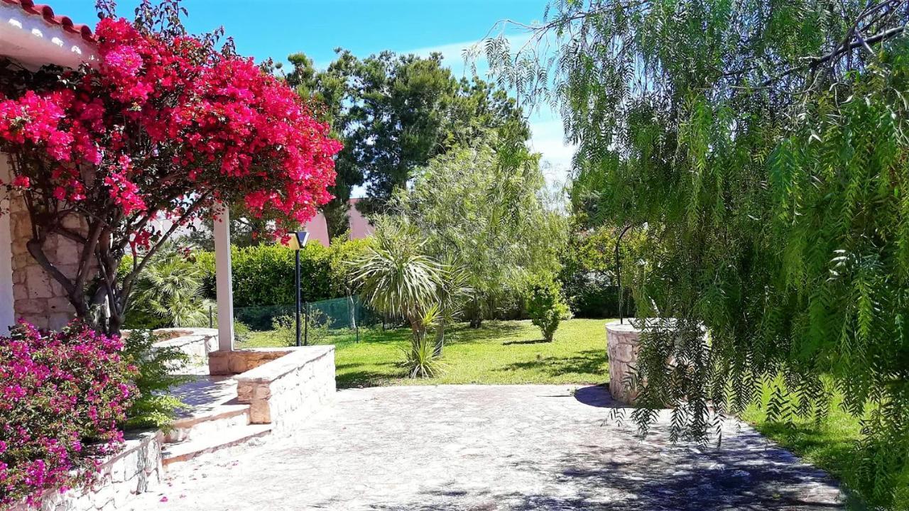 Bouganvilla بولينيانو آ ماري المظهر الخارجي الصورة