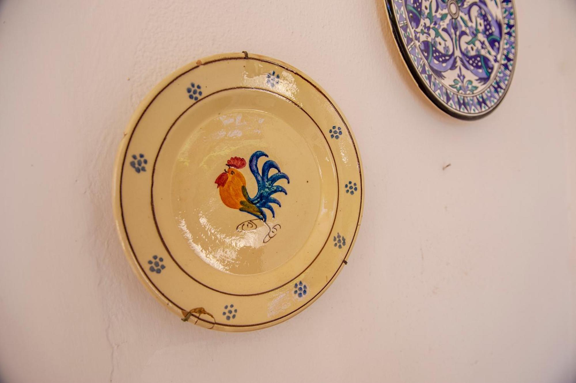 Bouganvilla بولينيانو آ ماري المظهر الخارجي الصورة