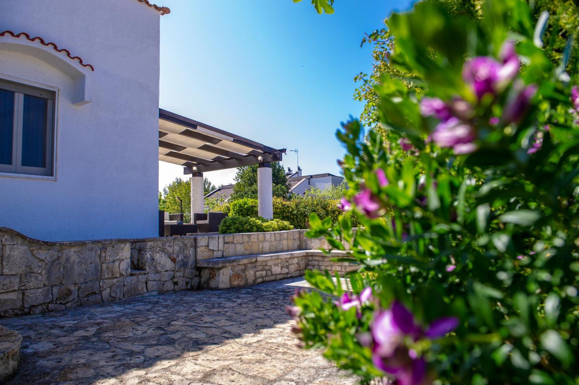 Bouganvilla بولينيانو آ ماري المظهر الخارجي الصورة