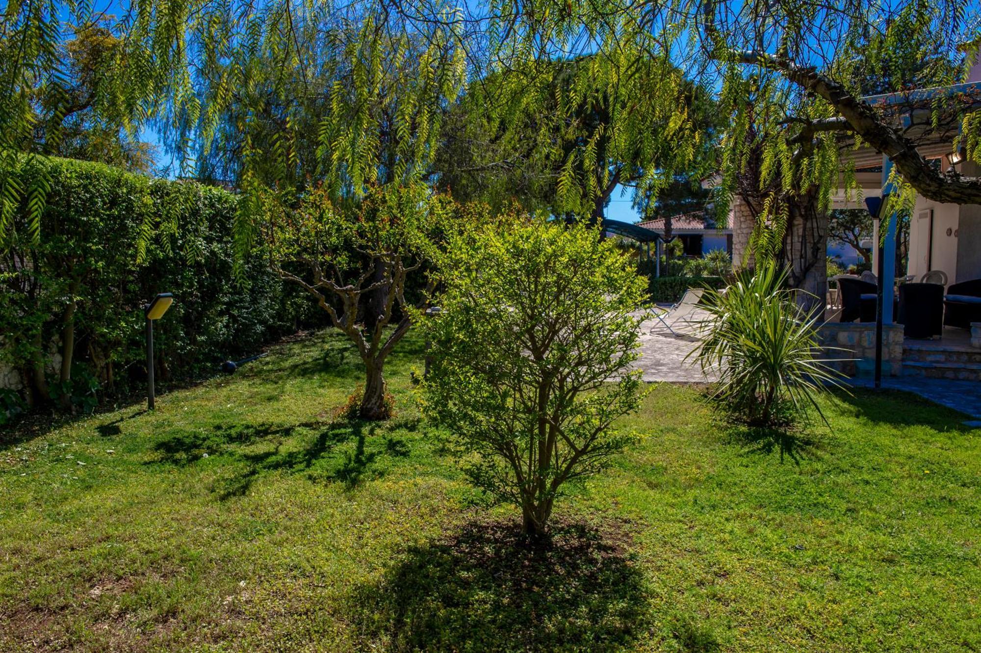 Bouganvilla بولينيانو آ ماري المظهر الخارجي الصورة
